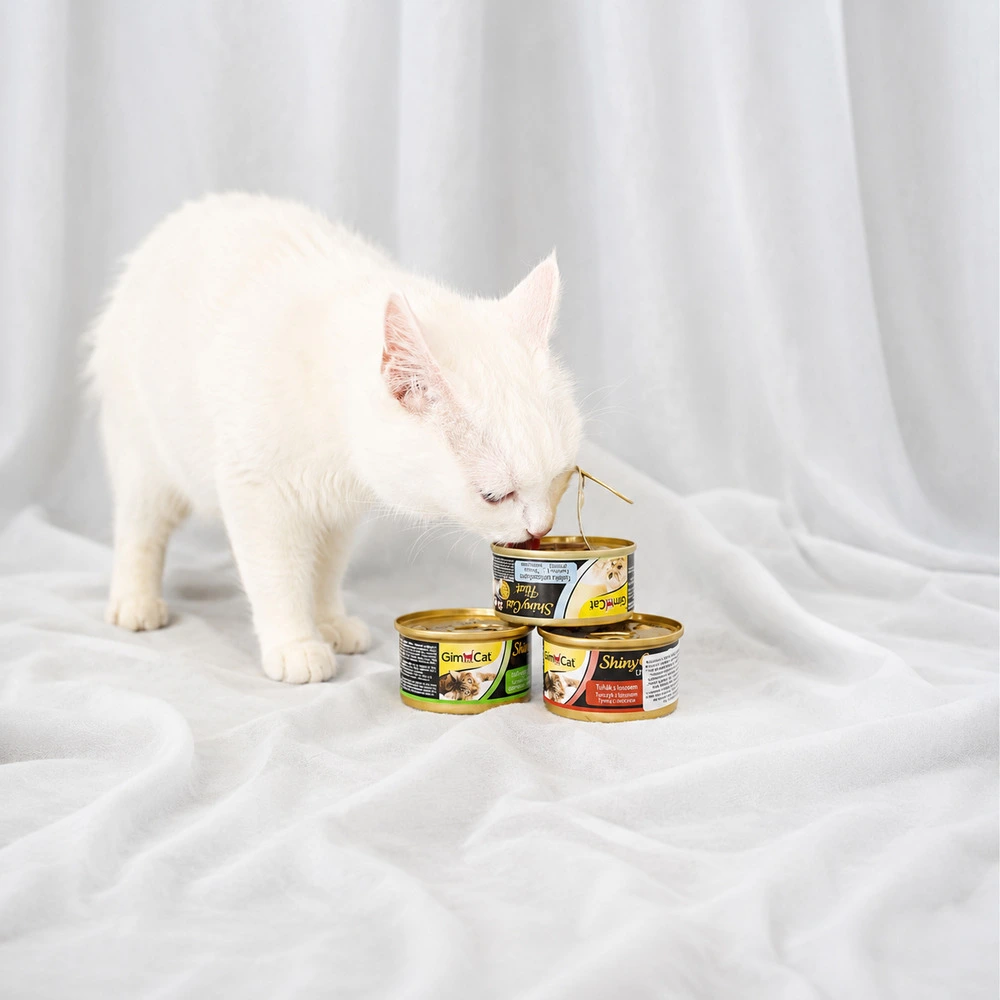 Влажный корм GimCat Shiny Cat для кошек с тунцом и креветками в желе 70 г