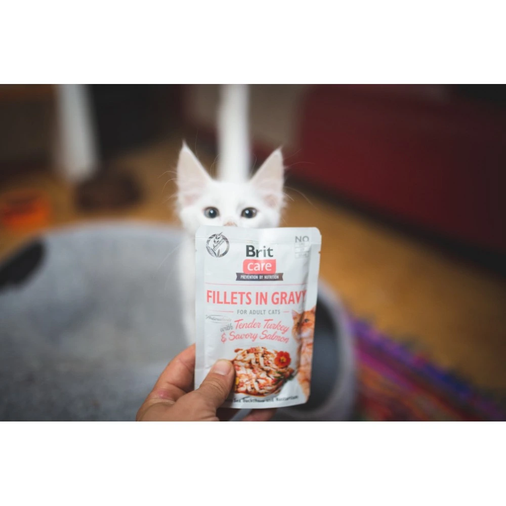 Корм вологий Brit Care Fillets in Gravy Tender Turkey and Savory Salmon д/котів філе в соусі з індичкою та лососем 85 г