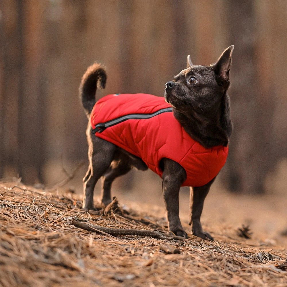 Жилет Pet Fashion E.Vest для собак червоний М2