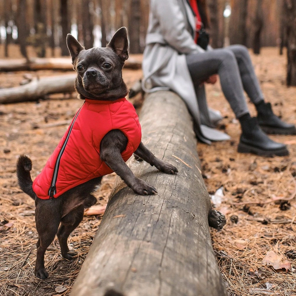 Жилет Pet Fashion E.Vest для собак червоний XS-2