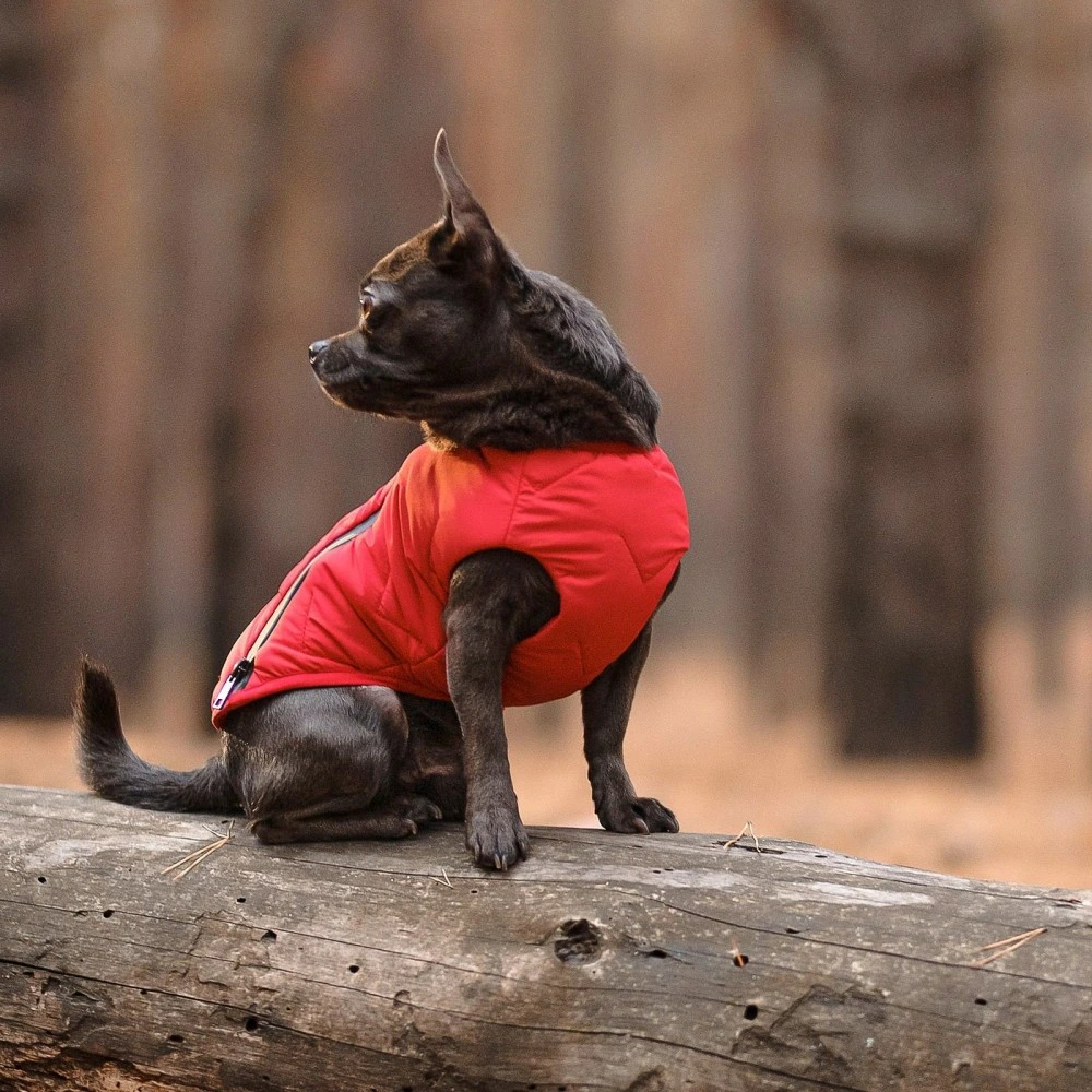 Жилет Pet Fashion E.Vest для собак червоний XS