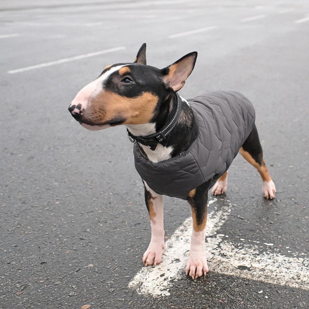 Жилет Pet Fashion E.Vest для собак сірий SМ