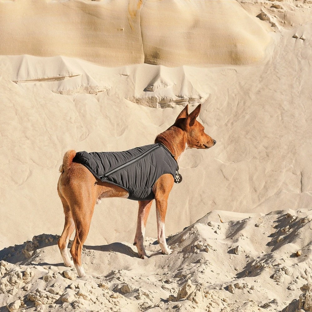 Жилет Pet Fashion E.Vest для собак сірий S