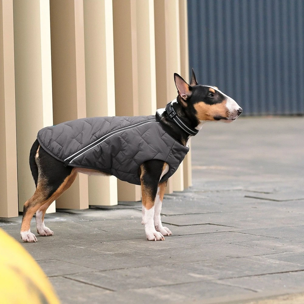 Жилет Pet Fashion E.Vest для собак сірий XS-2