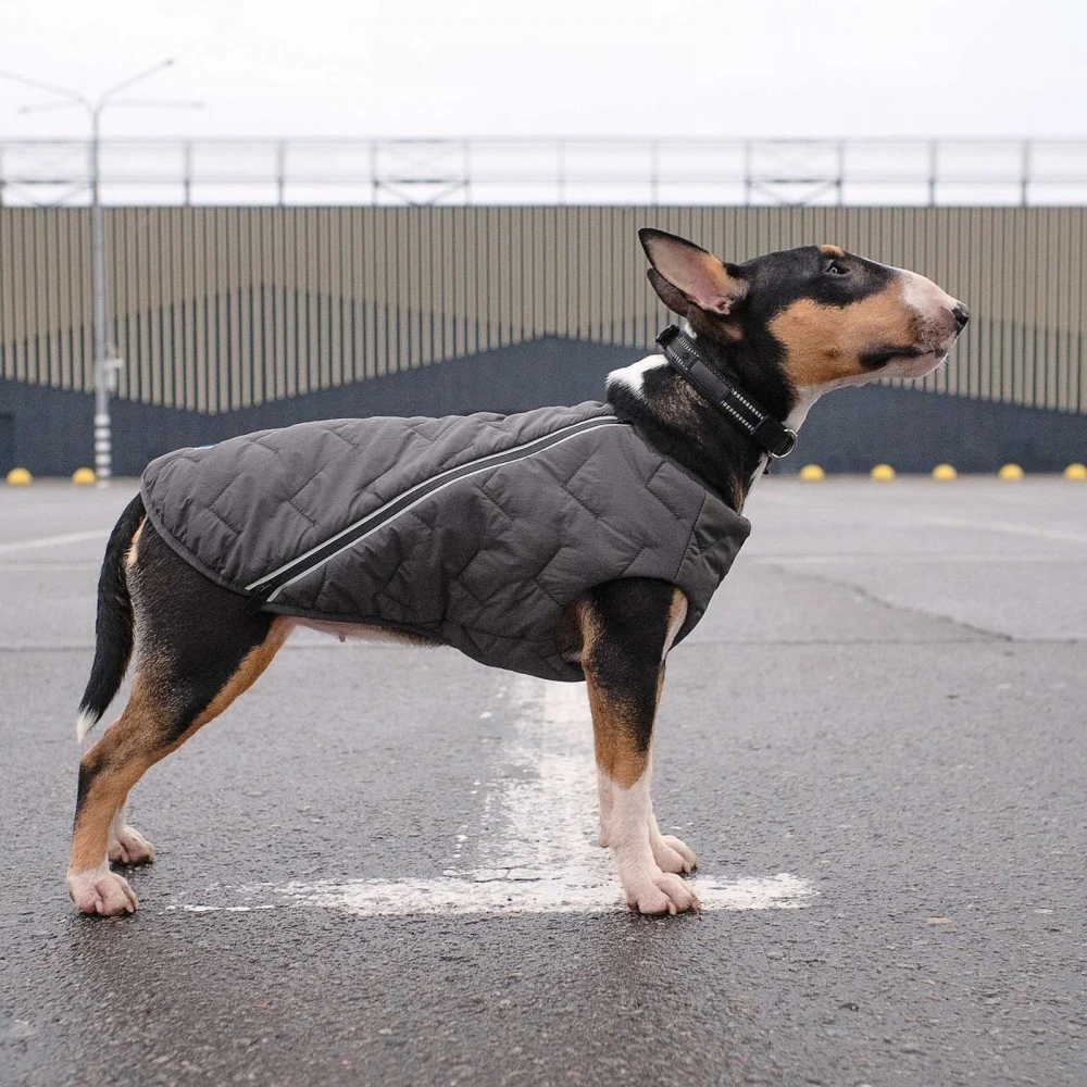 Жилет Pet Fashion E.Vest для собак сірий XS