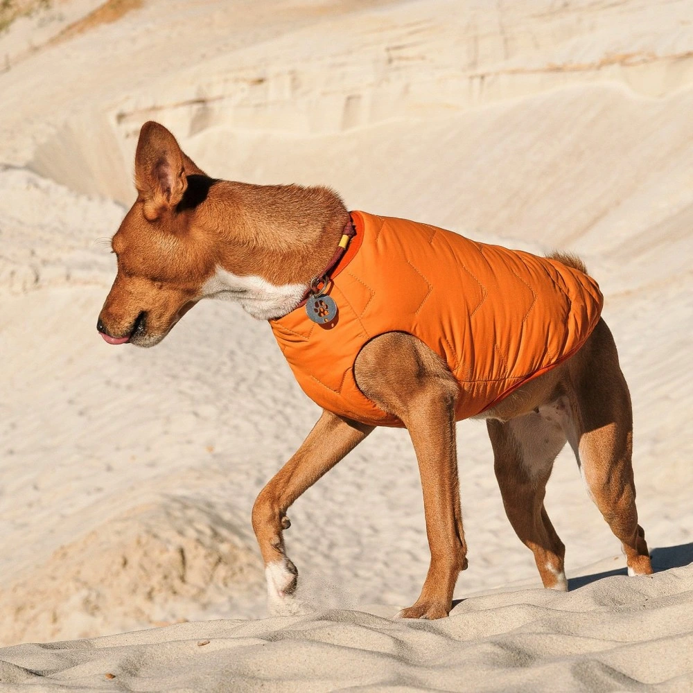 Жилет Pet Fashion E.Vest для собак помаранчевий L