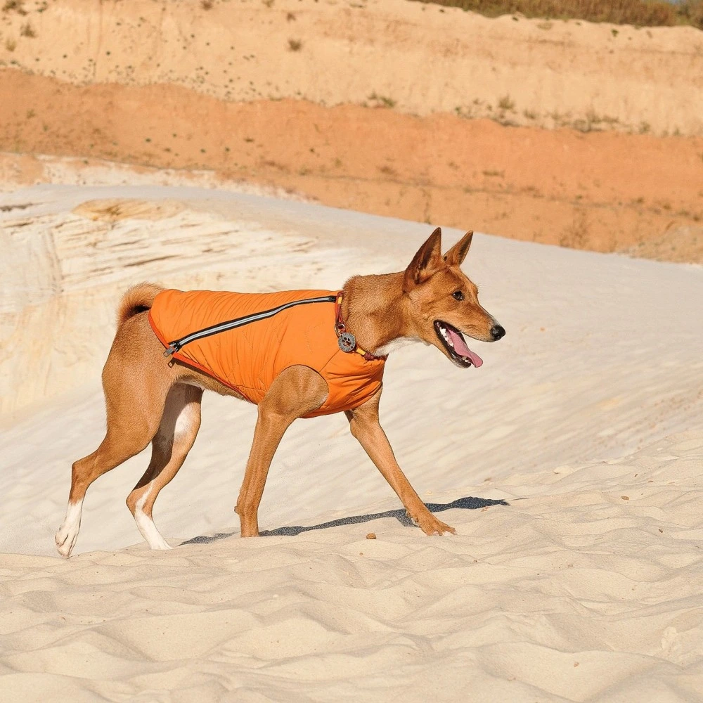 Жилет Pet Fashion E.Vest для собак помаранчевий SМ