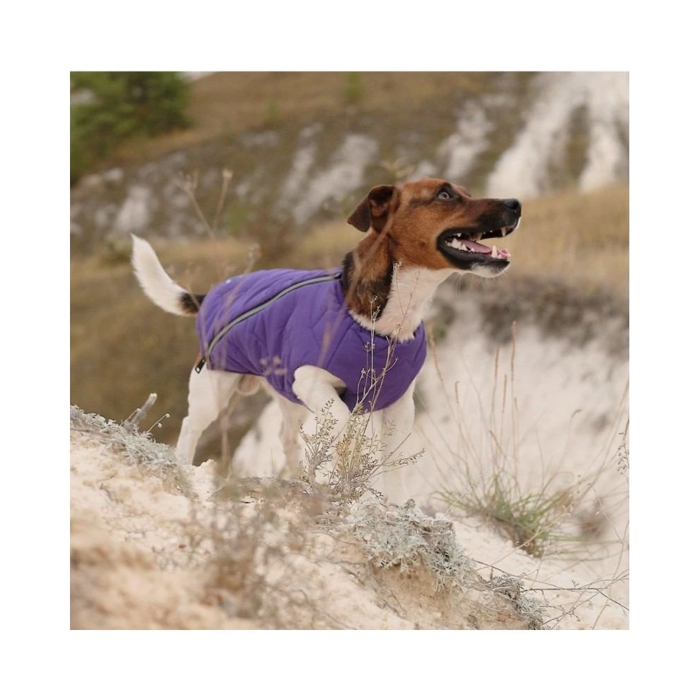 Жилет Pet Fashion E.Vest для собак фиолетовый XS-2
