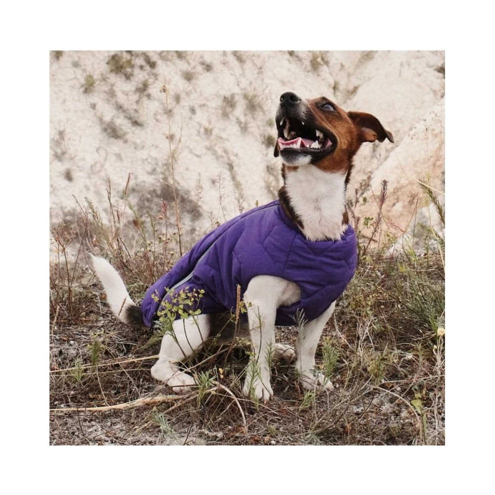 Жилет Pet Fashion E.Vest для собак фиолетовый XS