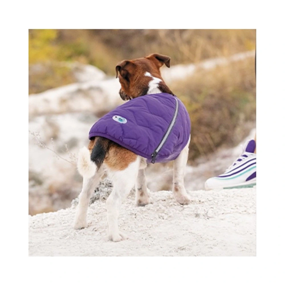 Жилет Pet Fashion E.Vest для собак фиолетовый XS