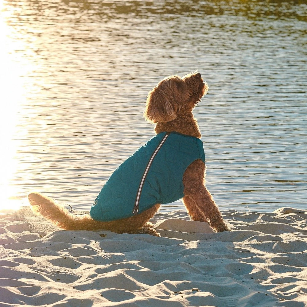 Жилет Pet Fashion E.Vest для собак морская волна М