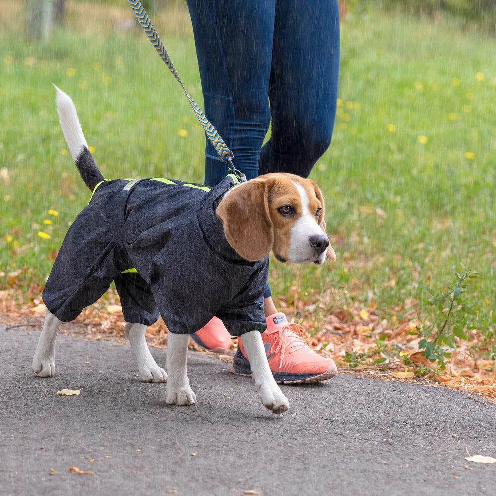 Комбинезон Pet Fashion RAIN для собак серый 3XL