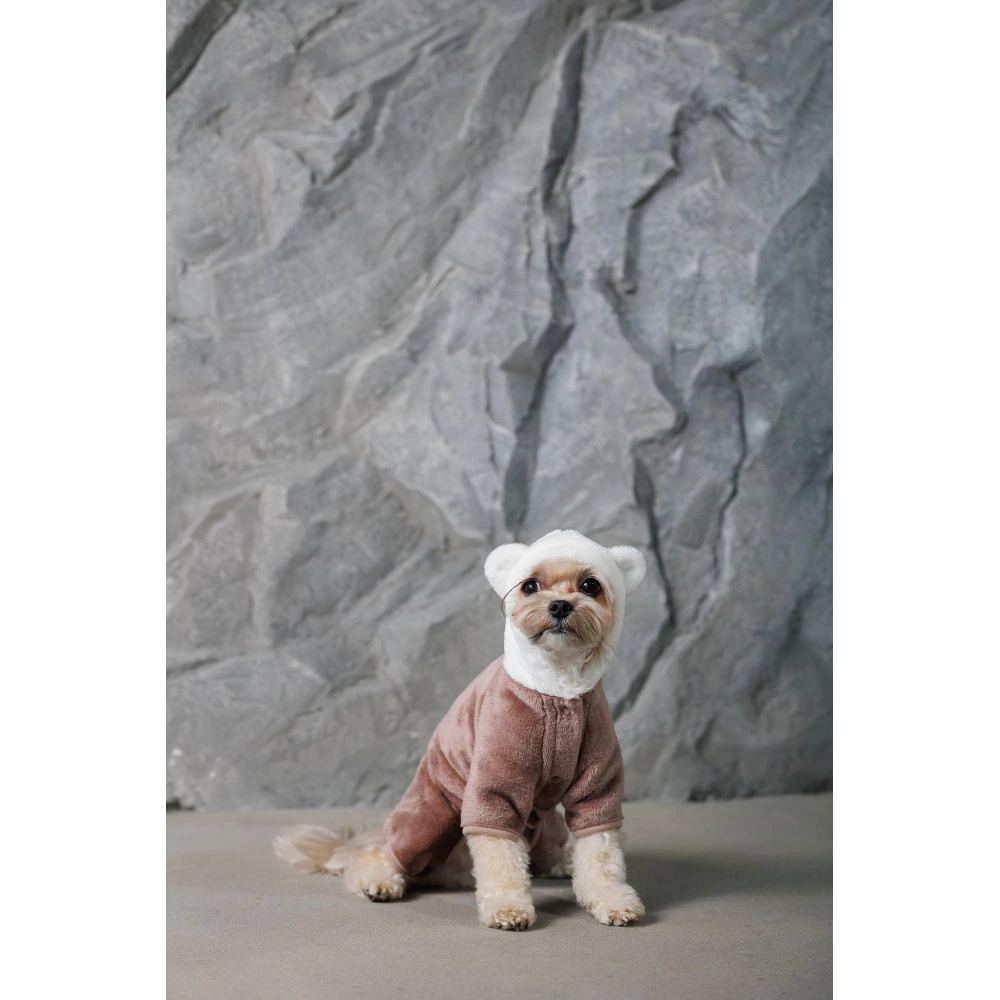Костюм Pet Fashion Alf для собак бежевый XS
