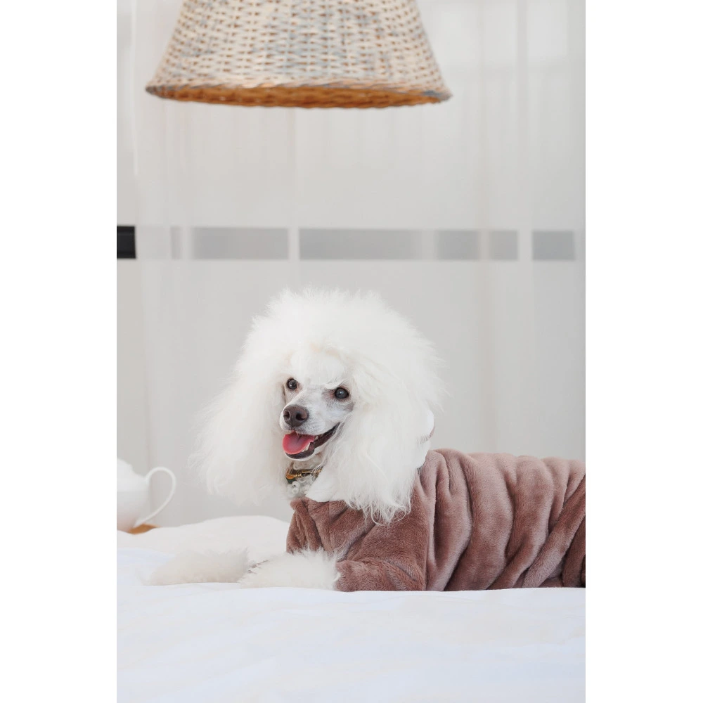 Костюм Pet Fashion Alf для собак бежевый XS