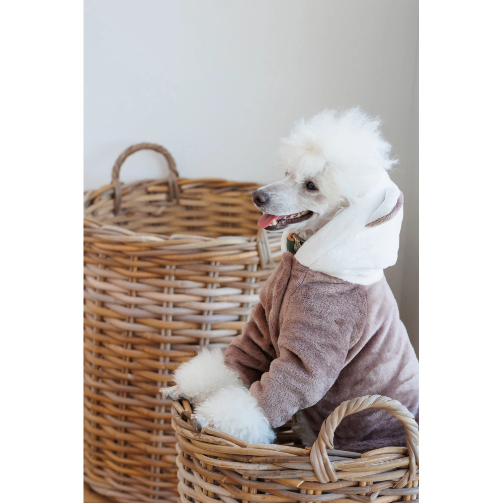 Костюм Pet Fashion Alf для собак бежевый XS