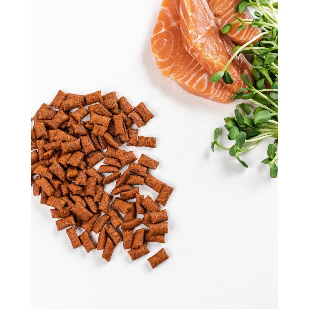 Хрумкі ласощі Savory Cats Snacks Pillows Gourmand with Salmon для дорослих вибагливих котів подушечки з лососем 60 г