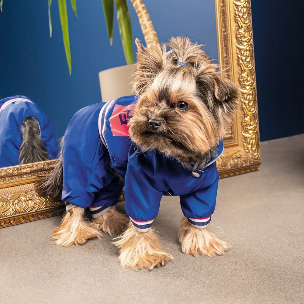Дощовик Pet Fashion Silver для собак XS