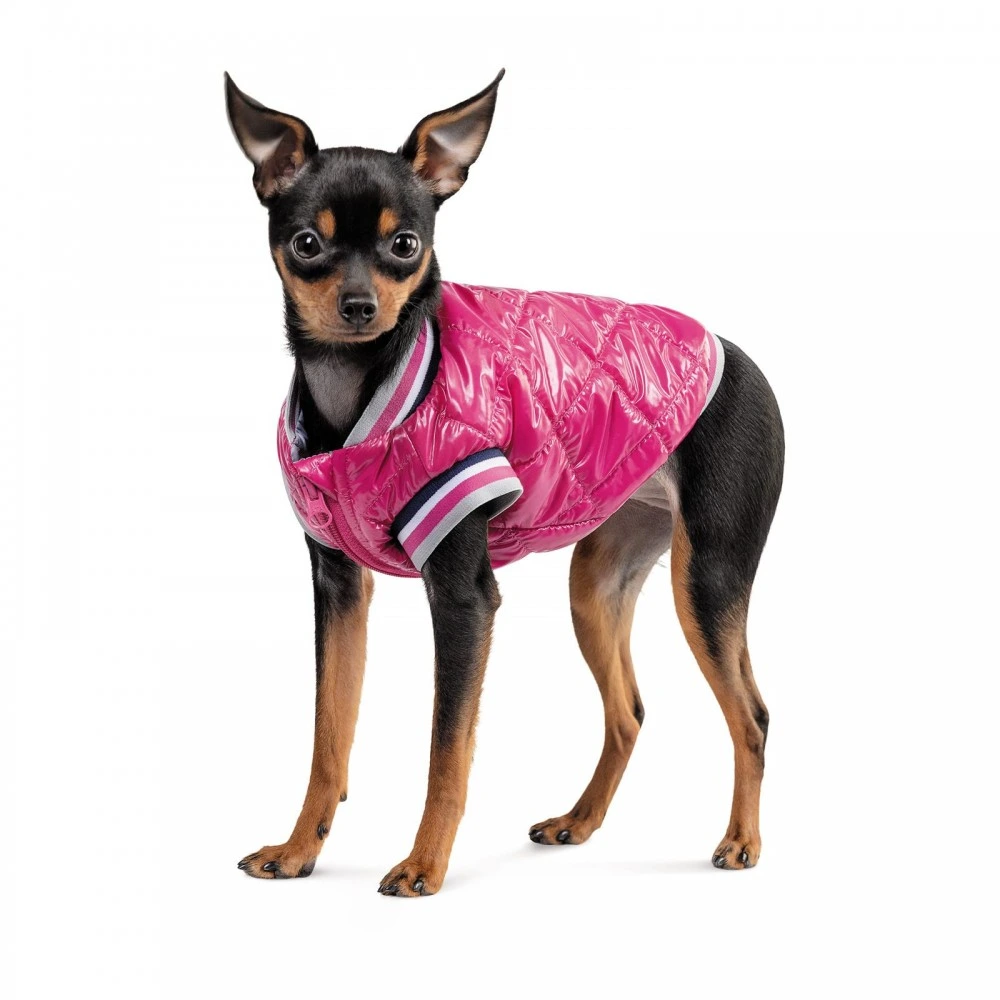 Бомбер Pet Fashion Grace для собак S