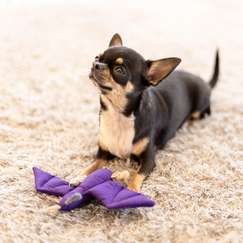 Іграшка Pet Fashion Кажан для собак зелений 15х23 см
