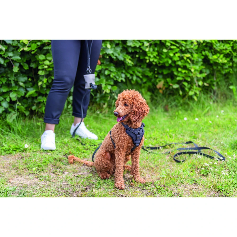 Шлей Trixie CityStyle H-harness для собак хлопок L–XL 75–120 см 25 мм черный
