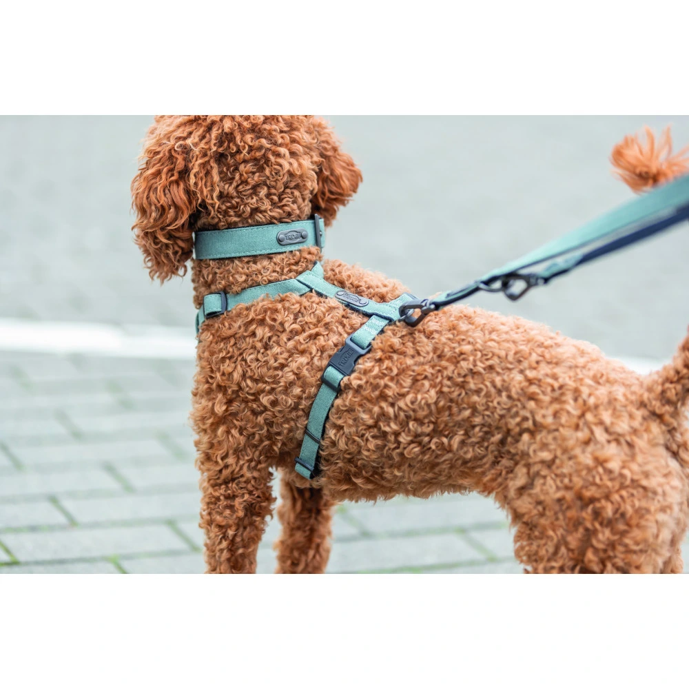 Шлея Trixie CityStyle H-harness для собак бавовна L–XL 75–120 см 25 мм світло-зелена