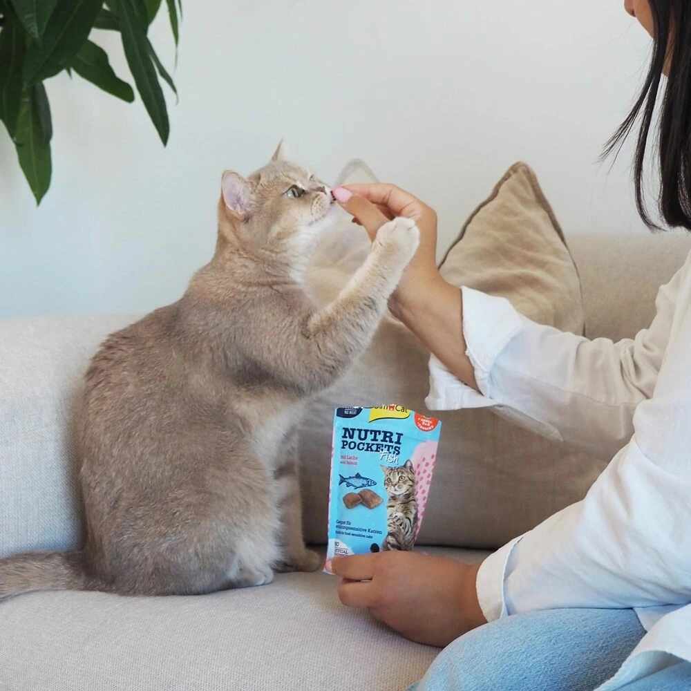 Ласощі Nutri Pockets для котів Рибні Лосось 60г