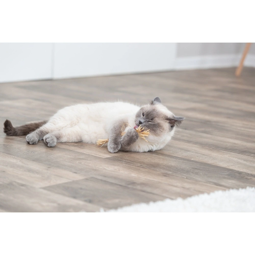 Іграшка Trixie для котів Палиця з мататабі з китицями 24 см