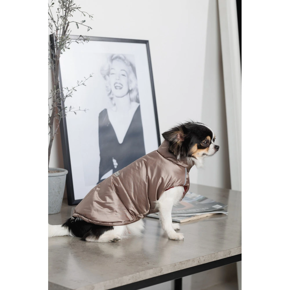 Жилет Pet Fashion Hardy для собак утепленный водонепроницаемый с отверстием для поводка бежевый размер L