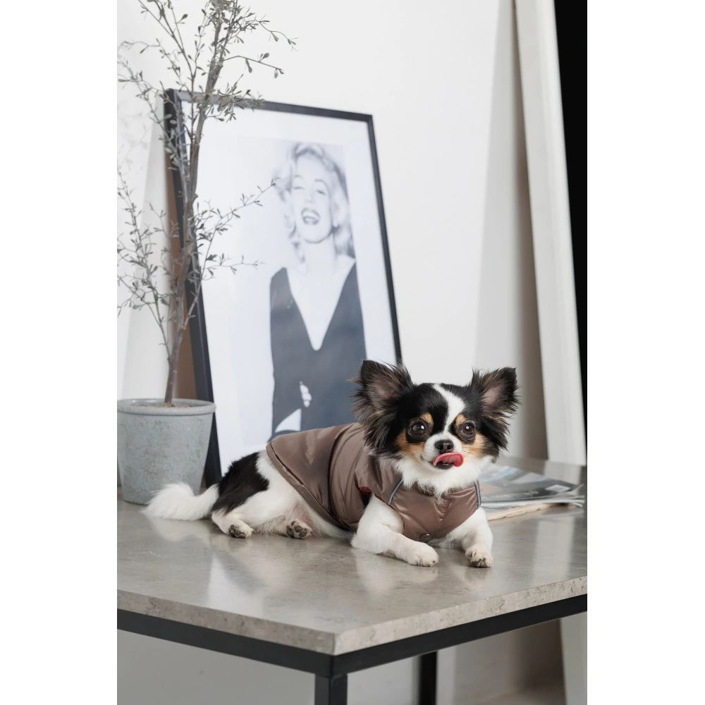 Жилет Pet Fashion Hardy для собак утепленный водонепроницаемый с отверстием для поводка бежевый размер M2