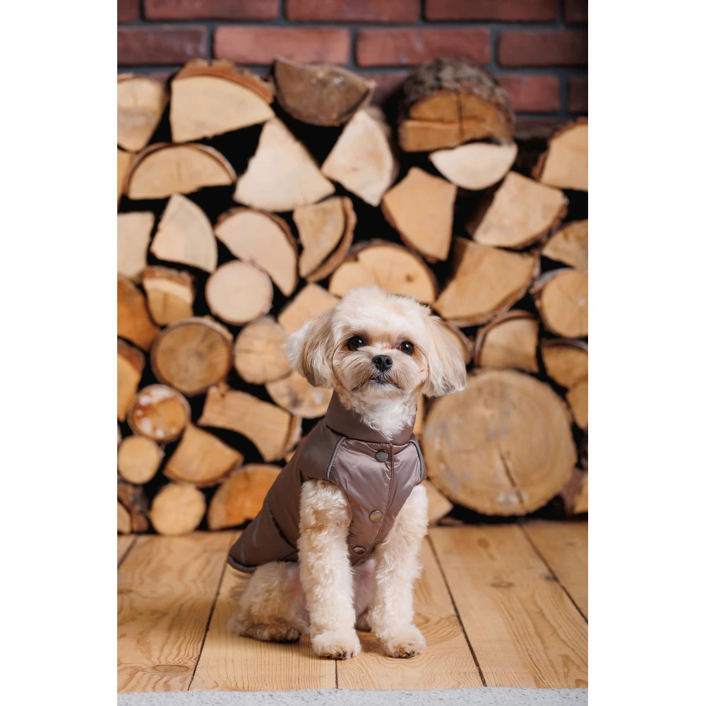 Жилет Pet Fashion Hardy для собак утепленный водонепроницаемый с отверстием для поводка бежевый размер M