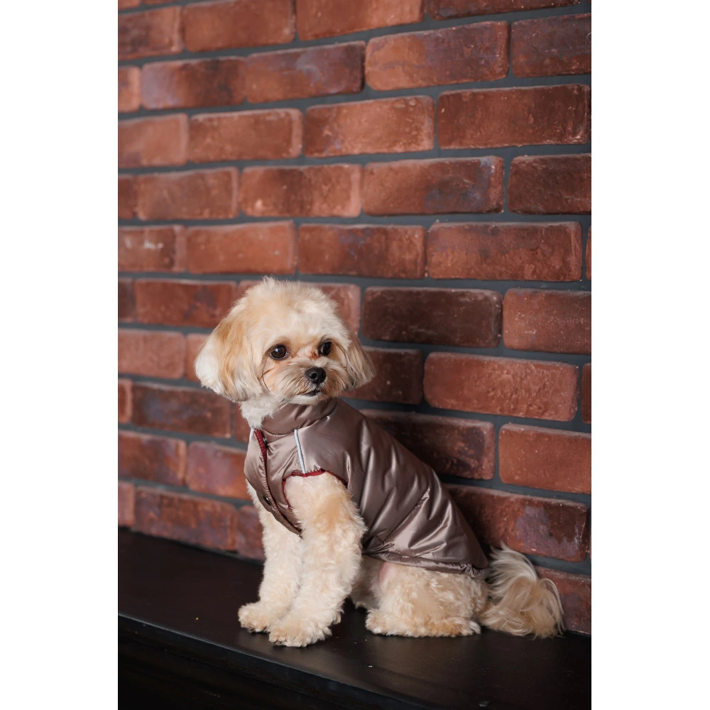 Жилет Pet Fashion Hardy для собак утепленный водонепроницаемый с отверстием для поводка бежевый размер M