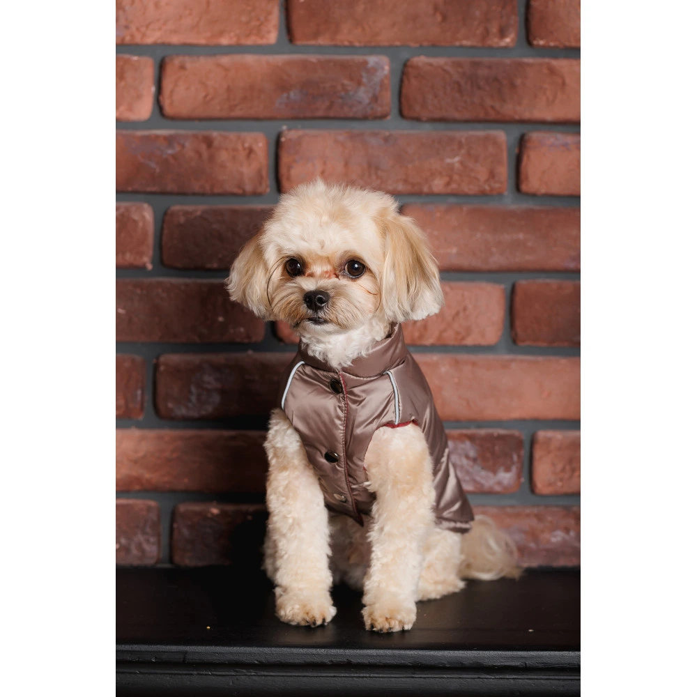 Жилет Pet Fashion Hardy для собак утепленный водонепроницаемый с отверстием для поводка бежевый размер M