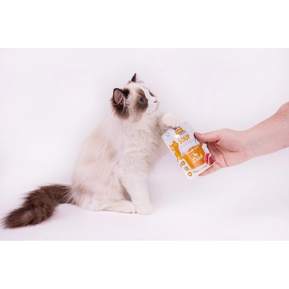 Влажный корм Brit Care Soup Duck для кошек суп с уткой 75 г