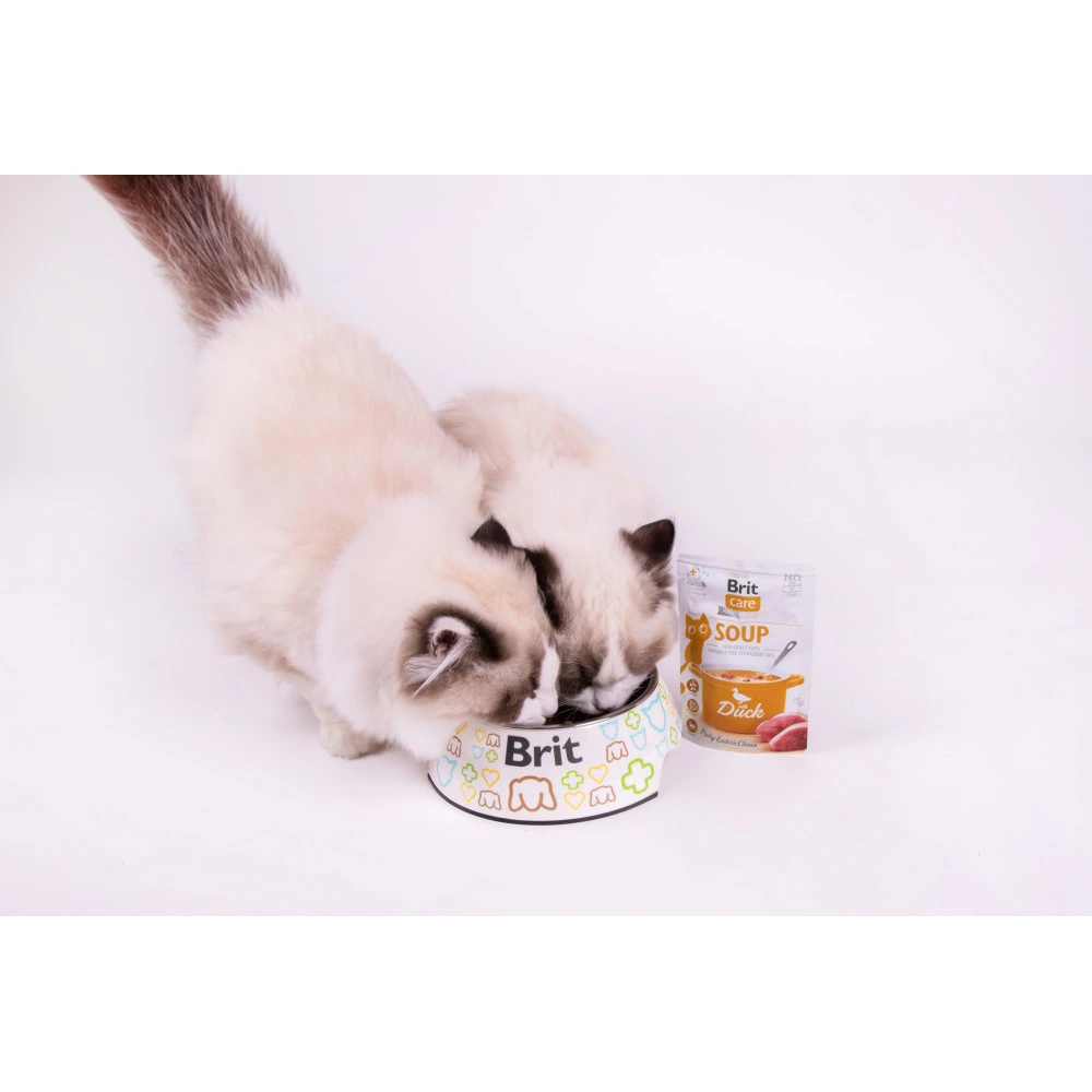 Влажный корм Brit Care Soup Duck для кошек суп с уткой 75 г
