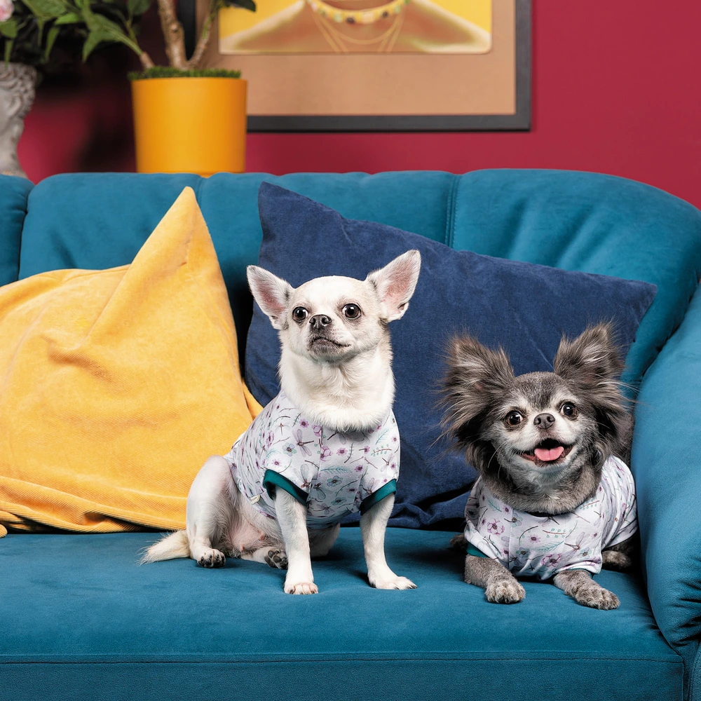Футболка Pet Fashion Flora для собак бавовна трикотаж біла з квітковим принтом XS2