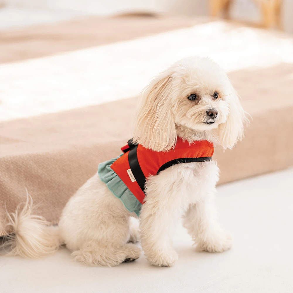 Шлейка Monika ТМ Pet Fashion для собак XS2