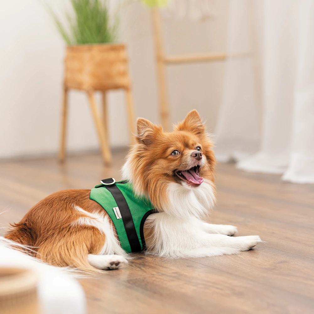 Шлея Ross ТМ Pet Fashion для собак S