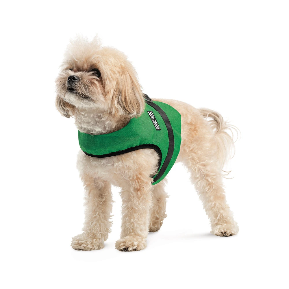 Шлея Ross ТМ Pet Fashion для собак S