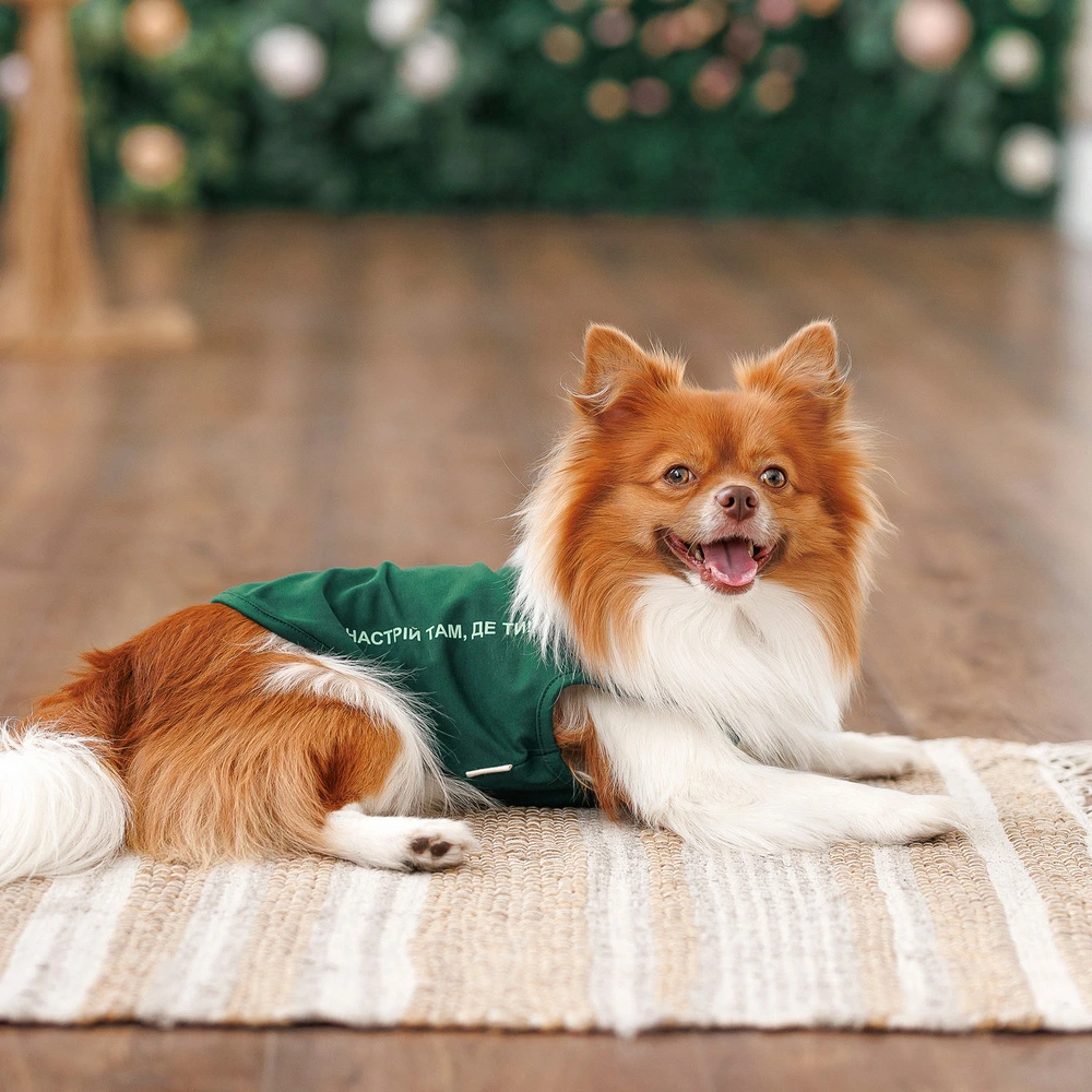 Борцовка Kale ТМ Pet Fashion для собак S зеленая