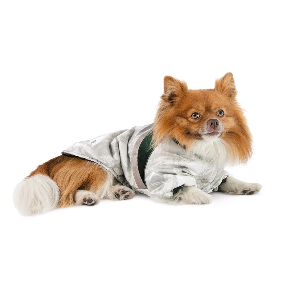 Куртка для собак Bony Pet Fashion, S белый, зеленый