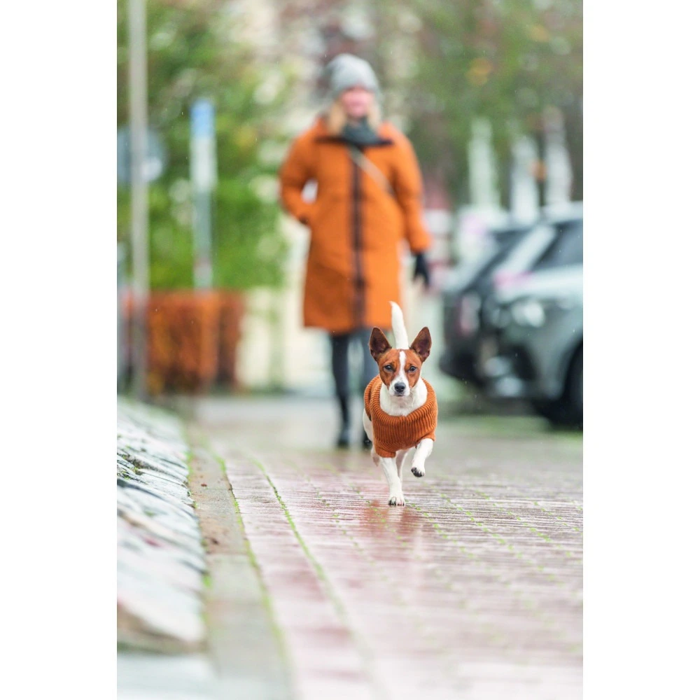 Свитер Trixie CityStyle Berlin для собак оранжевый M 45 см