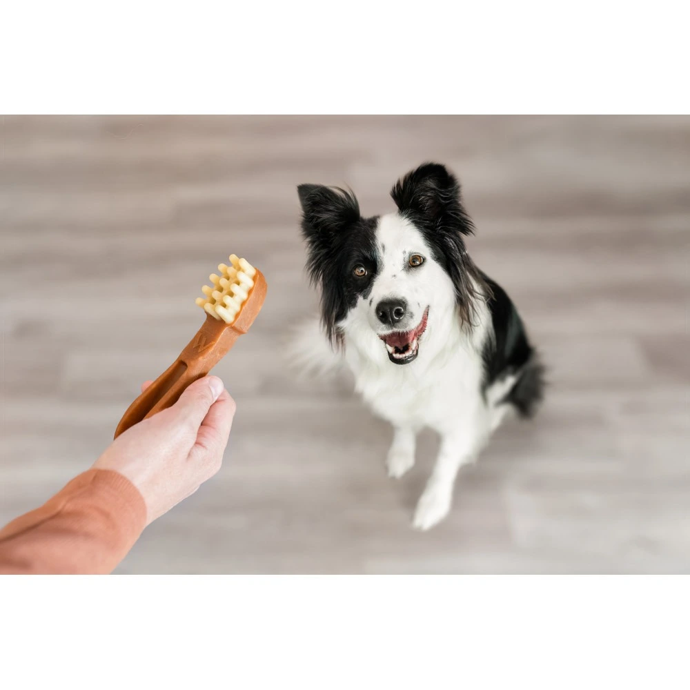 Ласощі Whimzees Toothbrush д/собак у формі зубної щітки M 12 шт