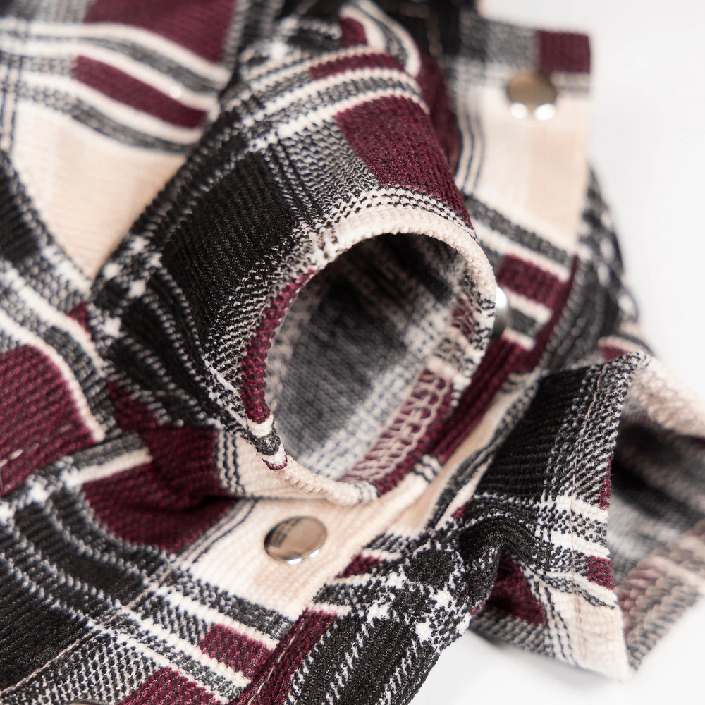 Костюм Pet Fashion Dandy для собак XS