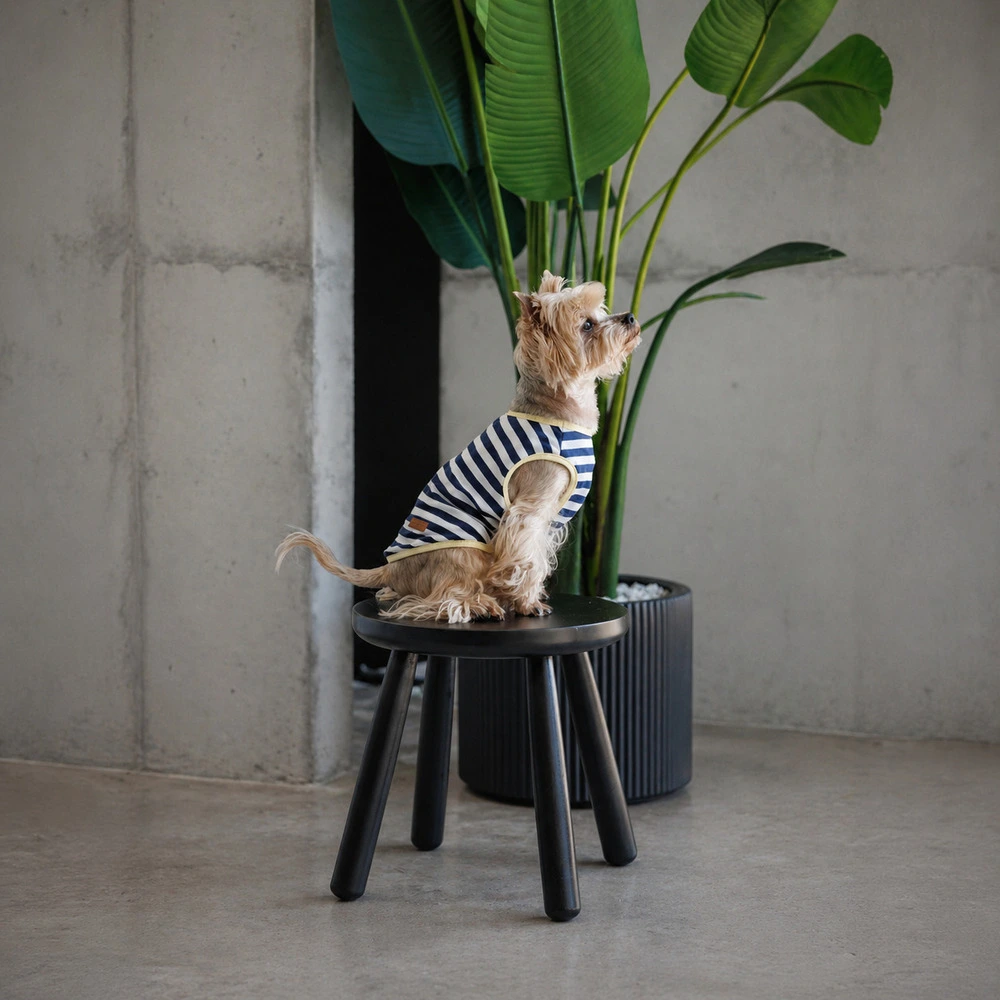Майка Pet Fashion Tropic для собак М