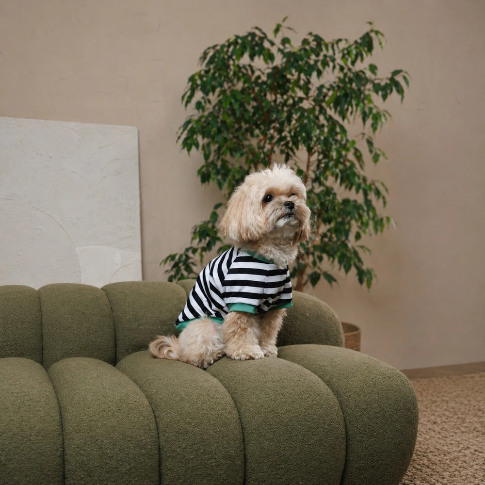 Футболка Pet Fashion Breeze для собак L