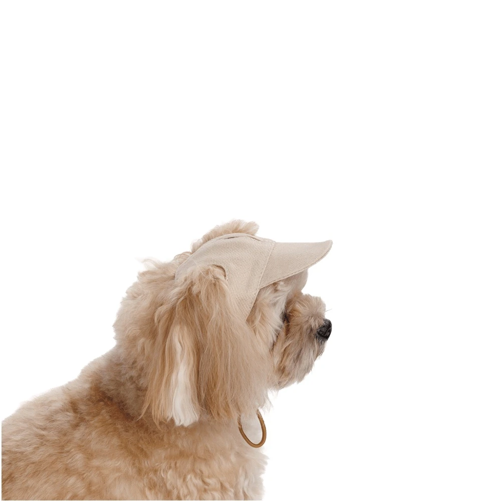 Кепка Pet Fashion Glamor для собак S