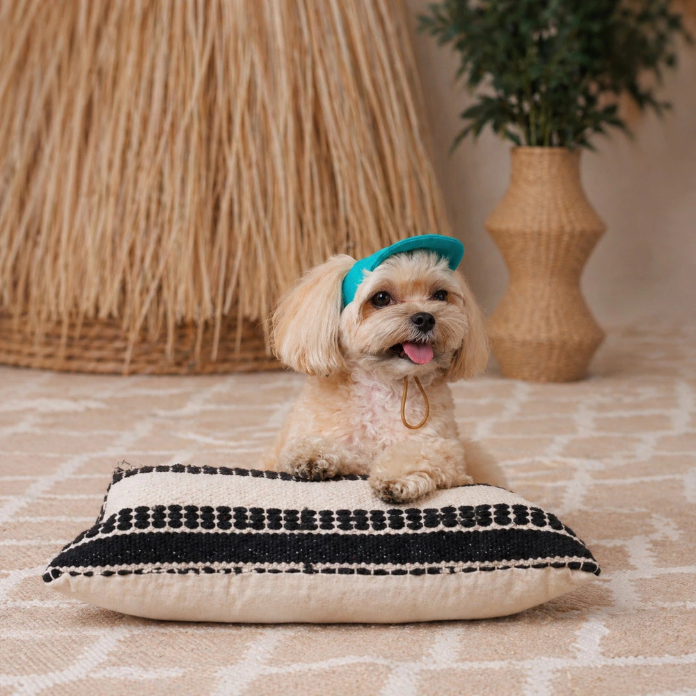 Кепка Pet Fashion Topaz для собак S