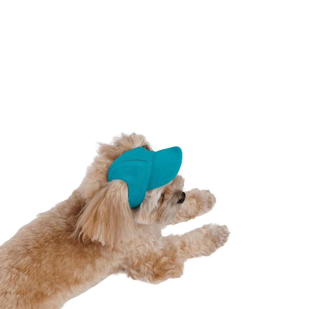 Кепка Pet Fashion Topaz для собак XS