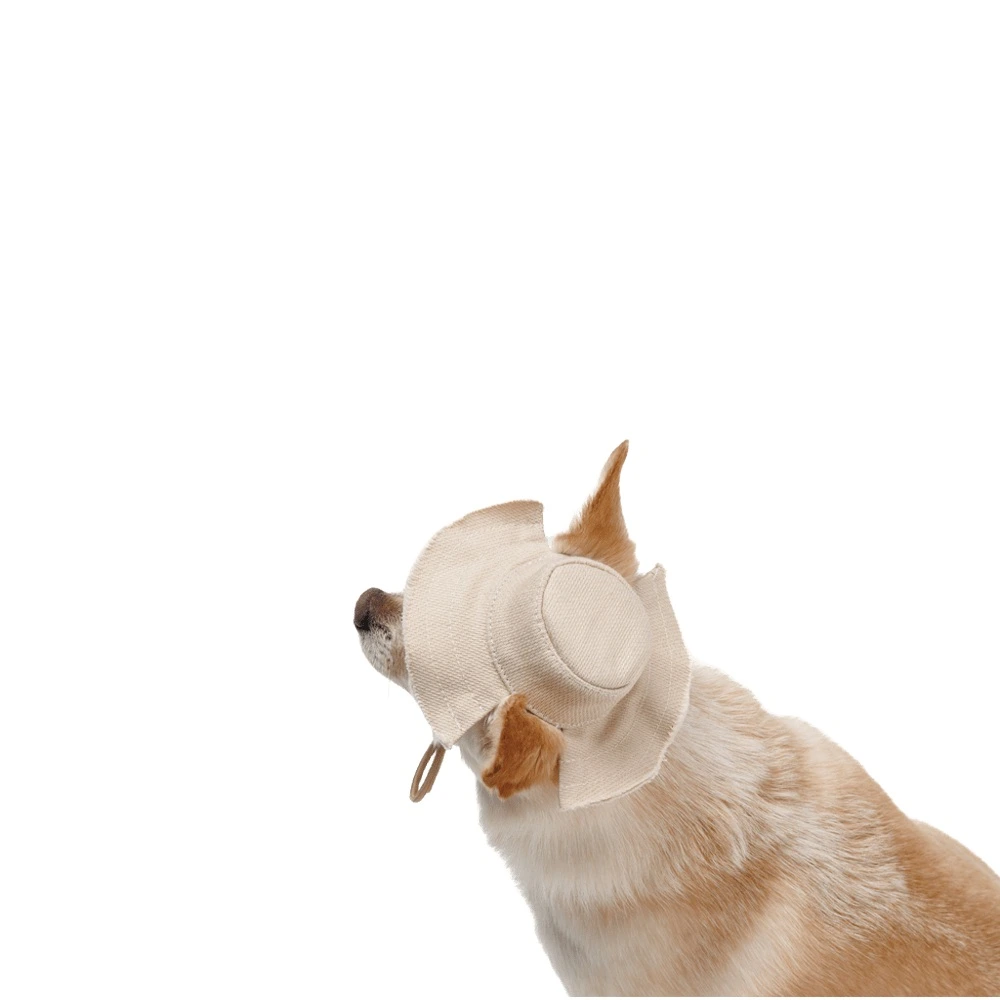 Панама Pet Fashion Gold для собак L