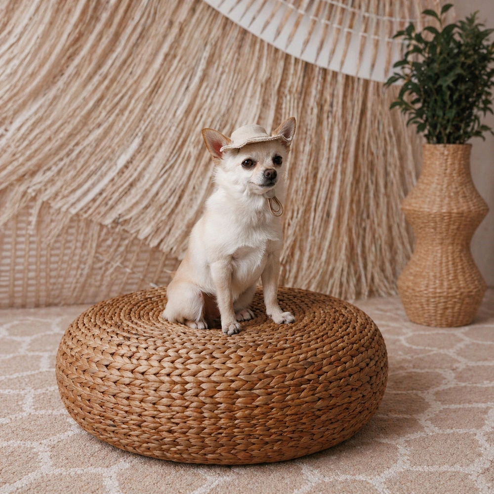 Панама Pet Fashion Gold для собак S